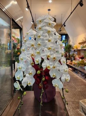 ご予約お待ちしております｜「花里」　（神奈川県逗子市の花キューピット加盟店 花屋）のブログ