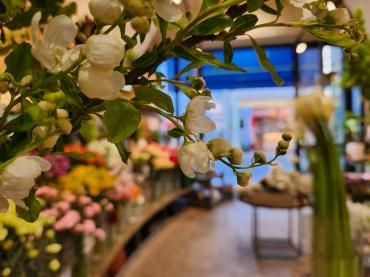 一期一会｜「花里」　（神奈川県逗子市の花キューピット加盟店 花屋）のブログ