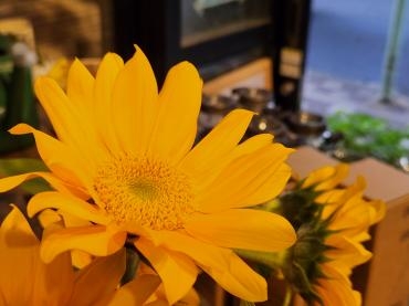 一足お先に｜「花里」　（神奈川県逗子市の花キューピット加盟店 花屋）のブログ