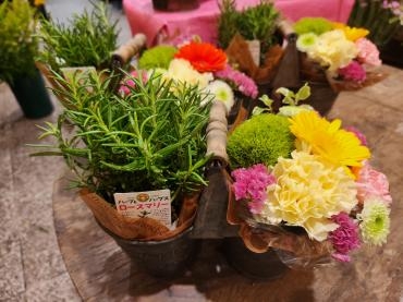 明日は母の日｜「花里」　（神奈川県逗子市の花キューピット加盟店 花屋）のブログ