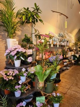 初夏の景色｜「花里」　（神奈川県逗子市の花キューピット加盟店 花屋）のブログ