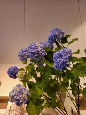 アジサイブルー｜「花里」　（神奈川県逗子市の花キューピット加盟店 花屋）のブログ