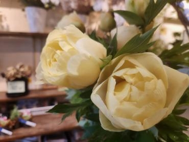 ぱぁあ｜「花里」　（神奈川県逗子市の花キューピット加盟店 花屋）のブログ