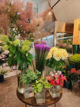 夏ですね｜「花里」　（神奈川県逗子市の花キューピット加盟店 花屋）のブログ