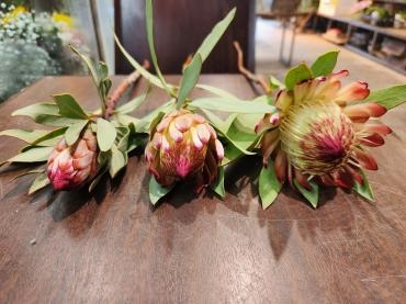 順番｜「花里」　（神奈川県逗子市の花キューピット加盟店 花屋）のブログ