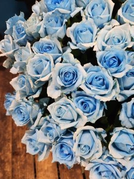 ブルーローズ｜「花里」　（神奈川県逗子市の花キューピット加盟店 花屋）のブログ