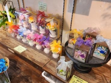 オールスター｜「花里」　（神奈川県逗子市の花キューピット加盟店 花屋）のブログ
