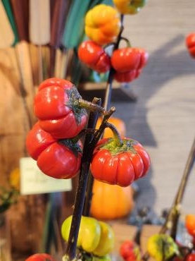 空飛ぶパンプキン｜「花里」　（神奈川県逗子市の花キューピット加盟店 花屋）のブログ