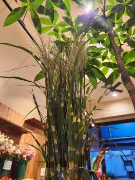 お月見の準備｜「花里」　（神奈川県逗子市の花キューピット加盟店 花屋）のブログ