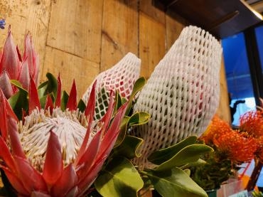 ネットつき｜「花里」　（神奈川県逗子市の花キューピット加盟店 花屋）のブログ