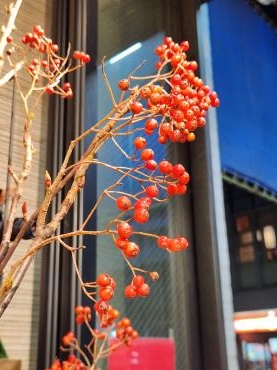 赤い実｜「花里」　（神奈川県逗子市の花キューピット加盟店 花屋）のブログ