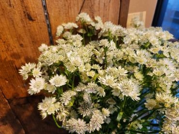 星｜「花里」　（神奈川県逗子市の花キューピット加盟店 花屋）のブログ