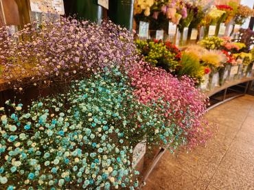 カラフル｜「花里」　（神奈川県逗子市の花キューピット加盟店 花屋）のブログ