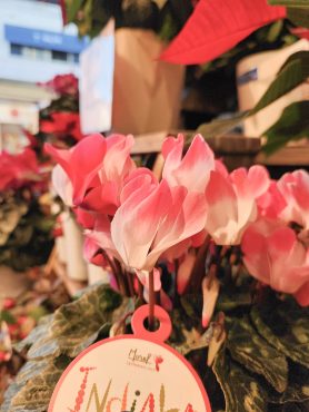 初！｜「花里」　（神奈川県逗子市の花キューピット加盟店 花屋）のブログ