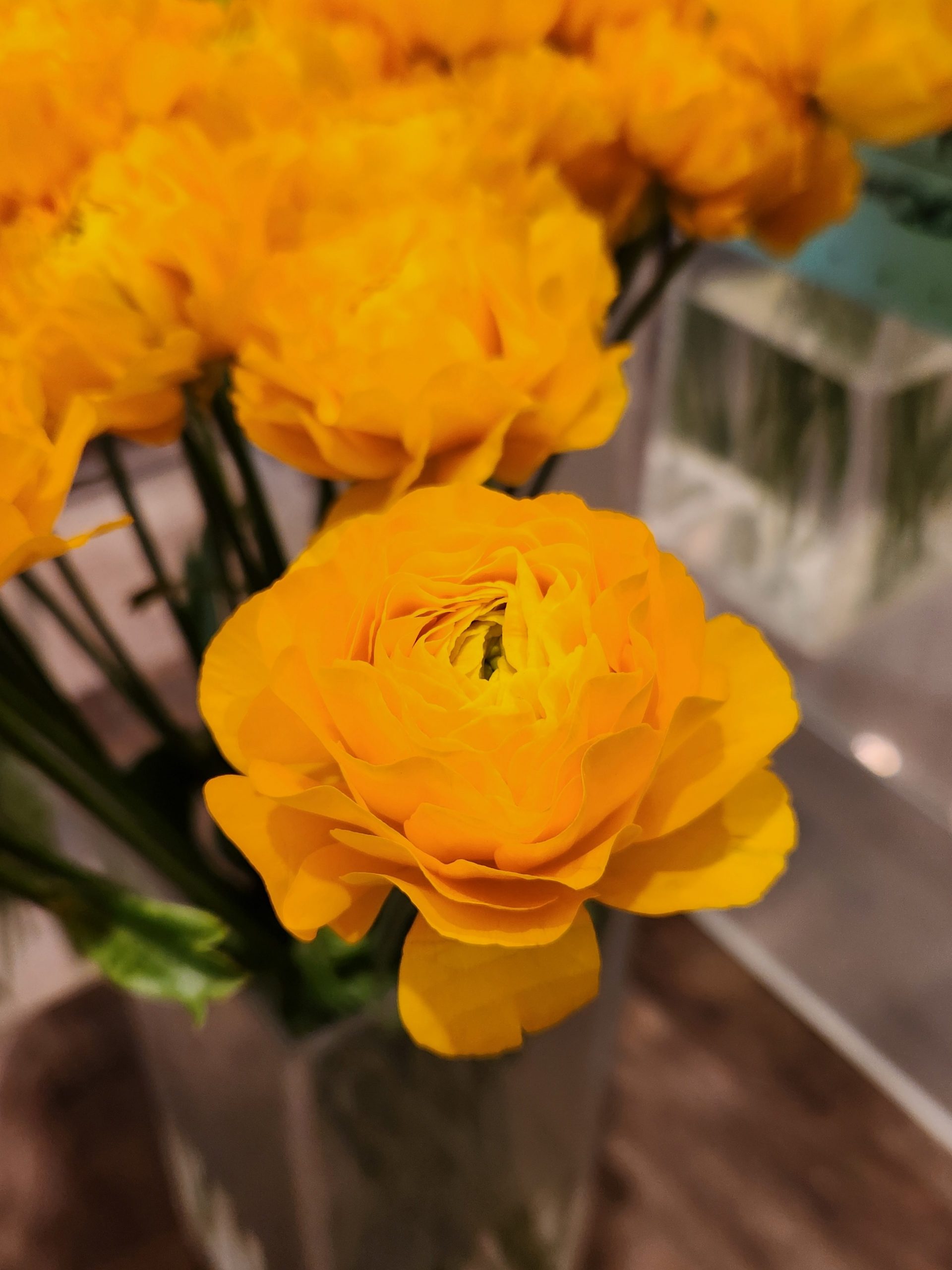 黄色｜「花里」　（神奈川県逗子市の花キューピット加盟店 花屋）のブログ