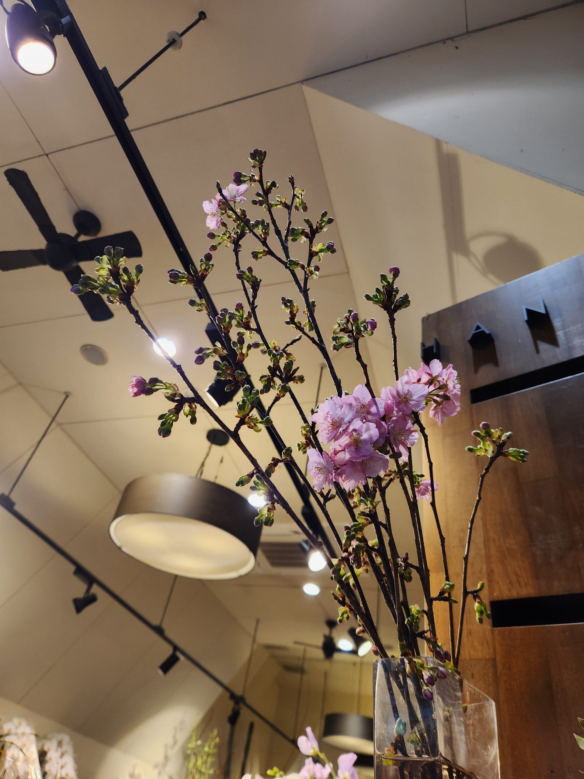 春｜「花里」　（神奈川県逗子市の花キューピット加盟店 花屋）のブログ