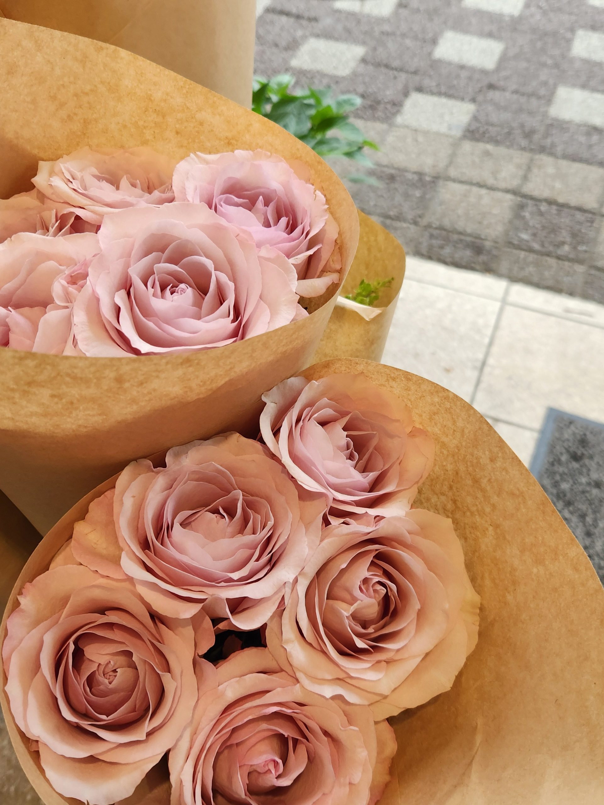 ロスフラワー｜「花里」　（神奈川県逗子市の花キューピット加盟店 花屋）のブログ