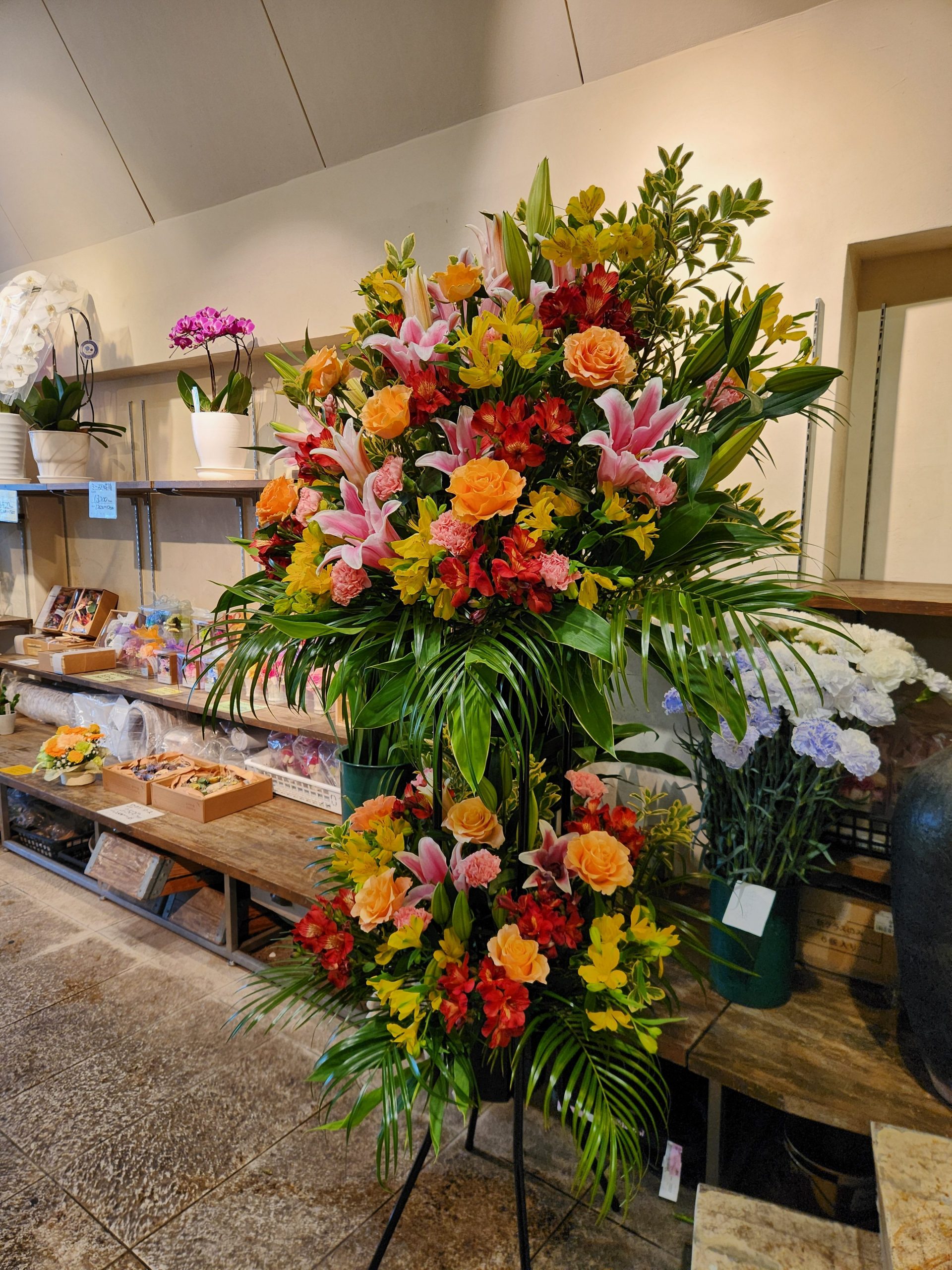 開店お祝い|「花里」　（神奈川県逗子市の花屋）のブログ