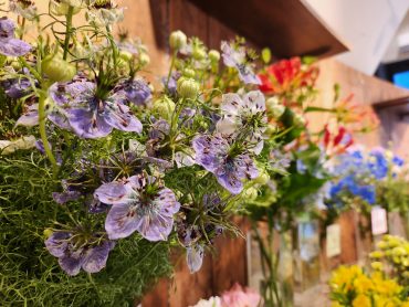 初夏の青|「花里」　（神奈川県逗子市の花屋）のブログ