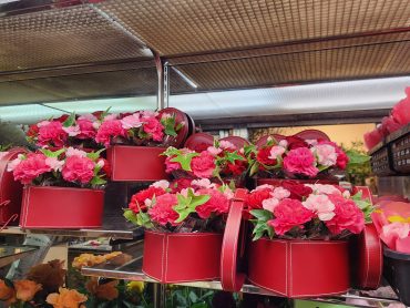 ハートをどうぞ｜「花里」　（神奈川県逗子市の花キューピット加盟店 花屋）のブログ