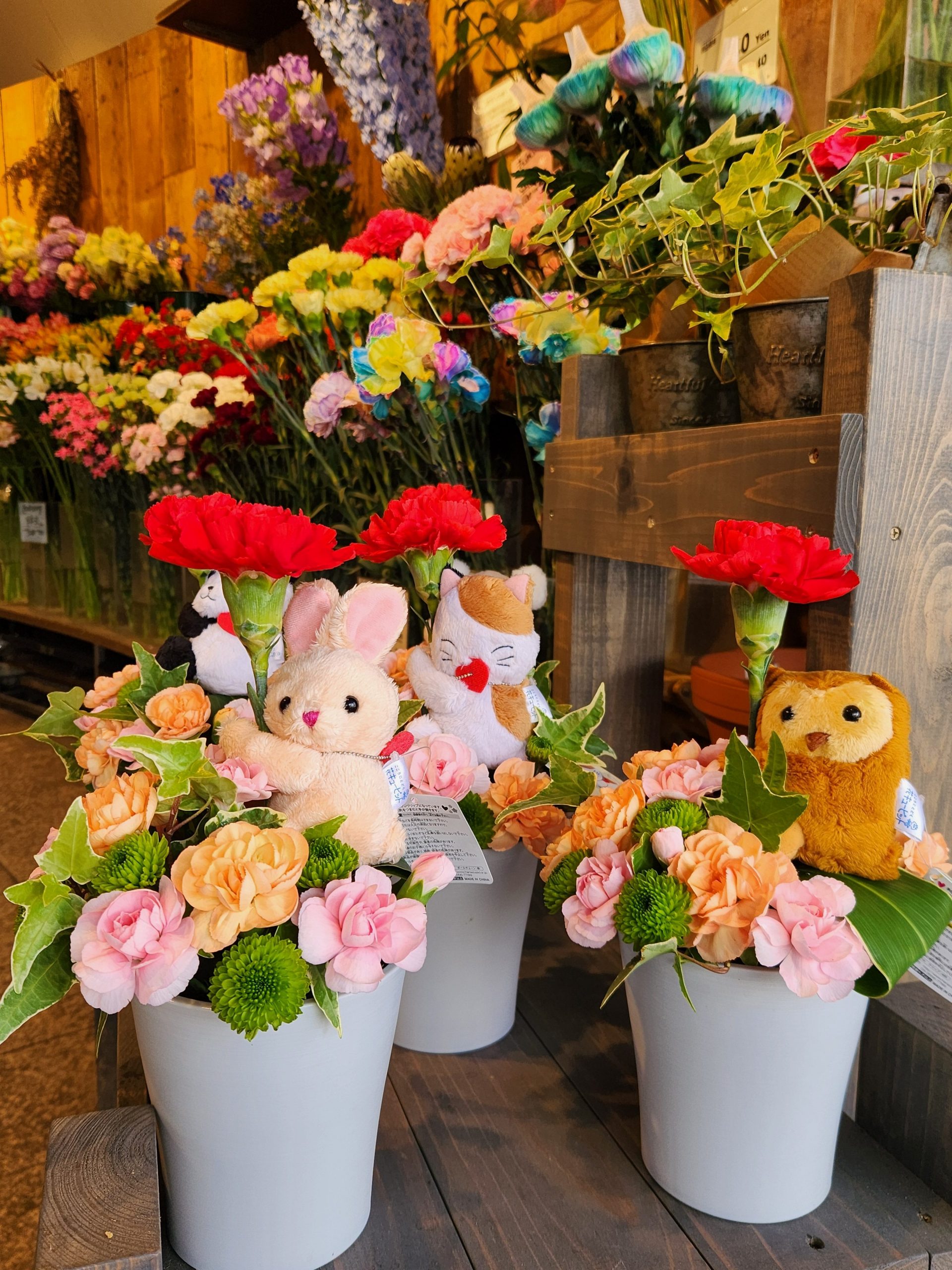 可愛い｜「花里」　（神奈川県逗子市の花キューピット加盟店 花屋）のブログ