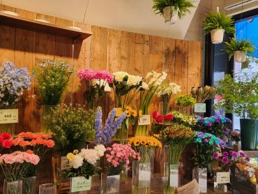 夏|「花里」　（神奈川県逗子市の花屋）のブログ