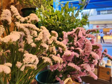 一周回った｜「花里」　（神奈川県逗子市の花キューピット加盟店 花屋）のブログ