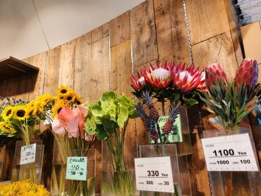 常夏｜「花里」　（神奈川県逗子市の花キューピット加盟店 花屋）のブログ