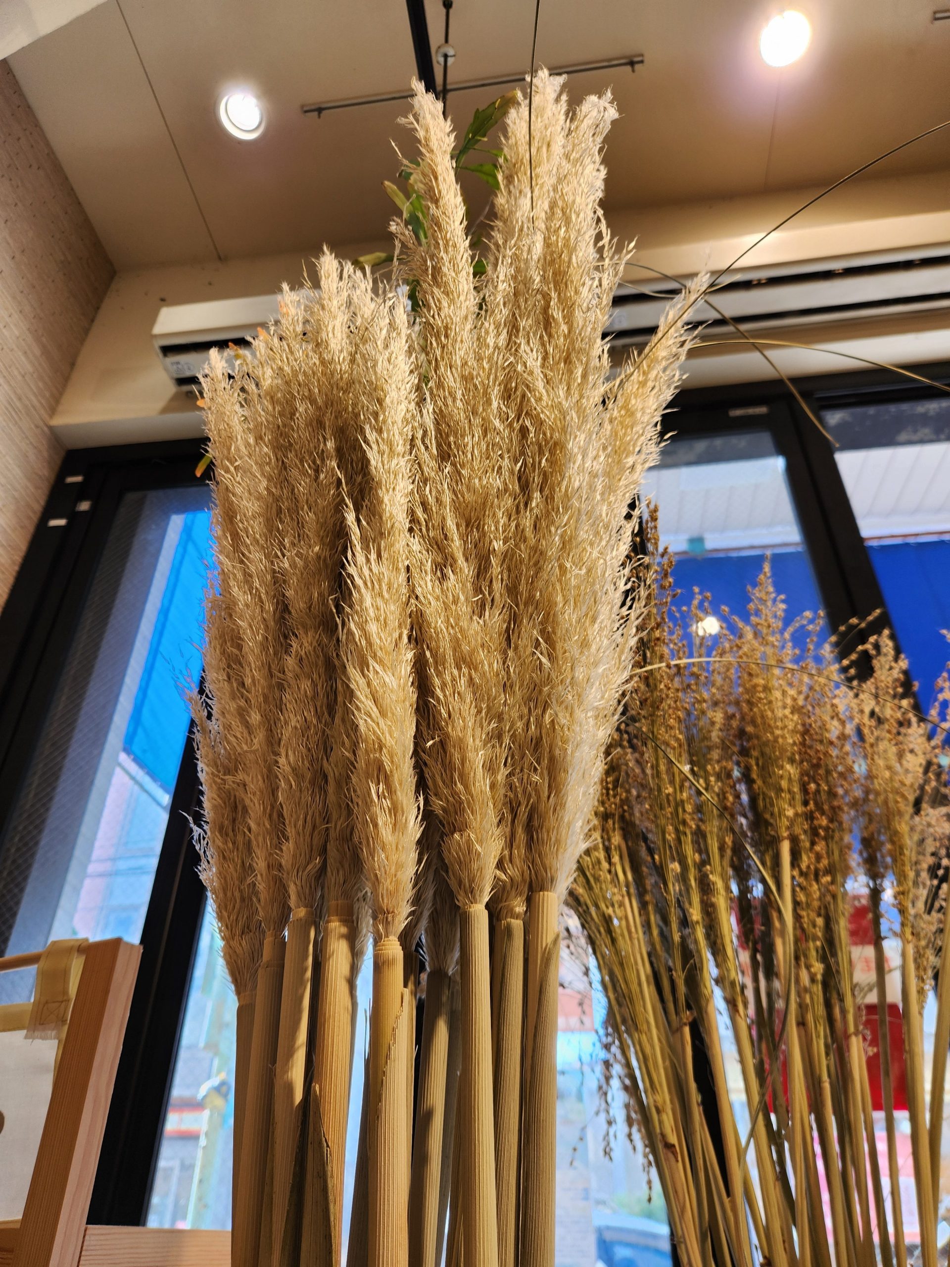 秋の足音｜「花里」　（神奈川県逗子市の花キューピット加盟店 花屋）のブログ