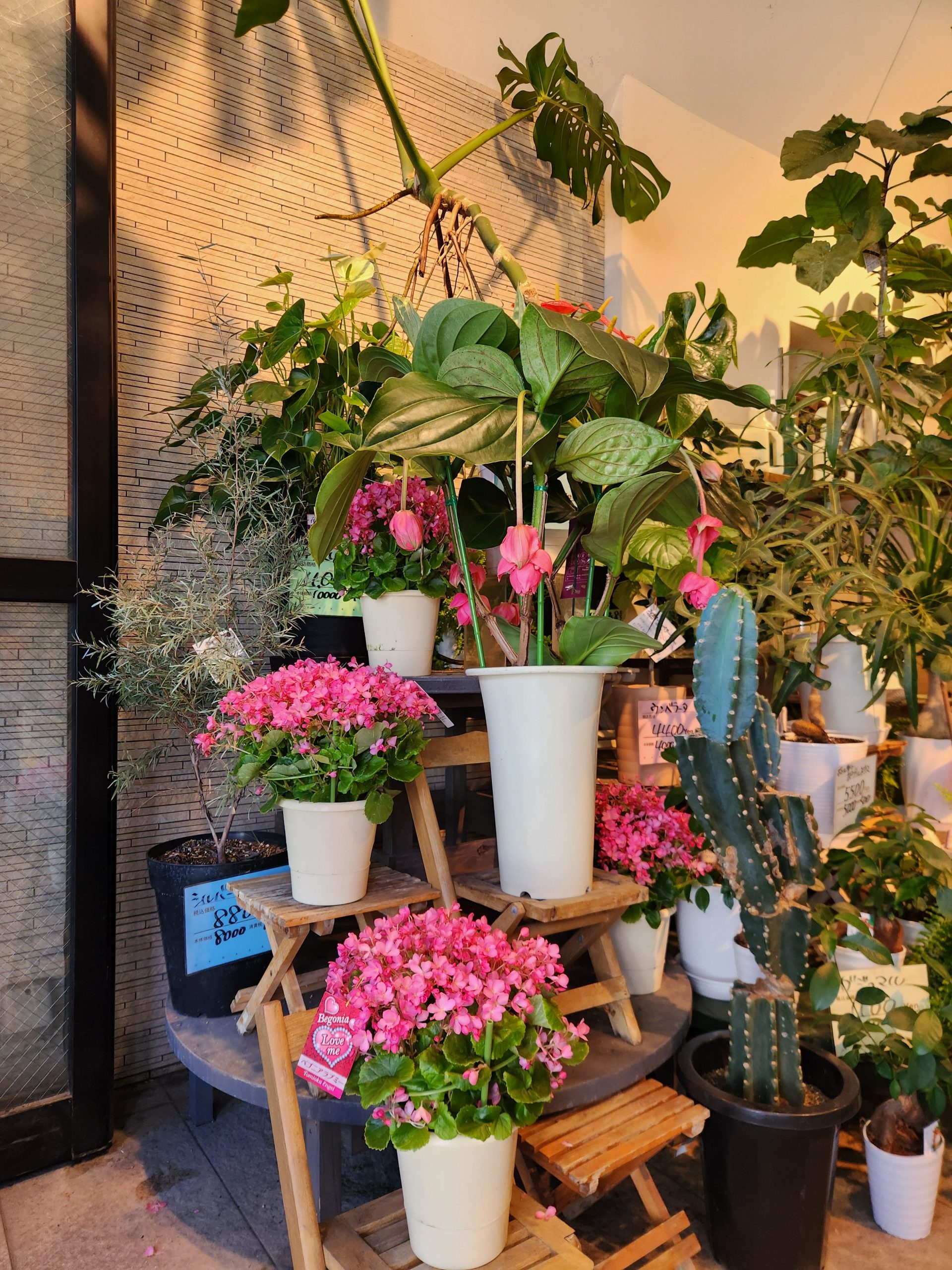 秋の色｜「花里」　（神奈川県逗子市の花キューピット加盟店 花屋）のブログ