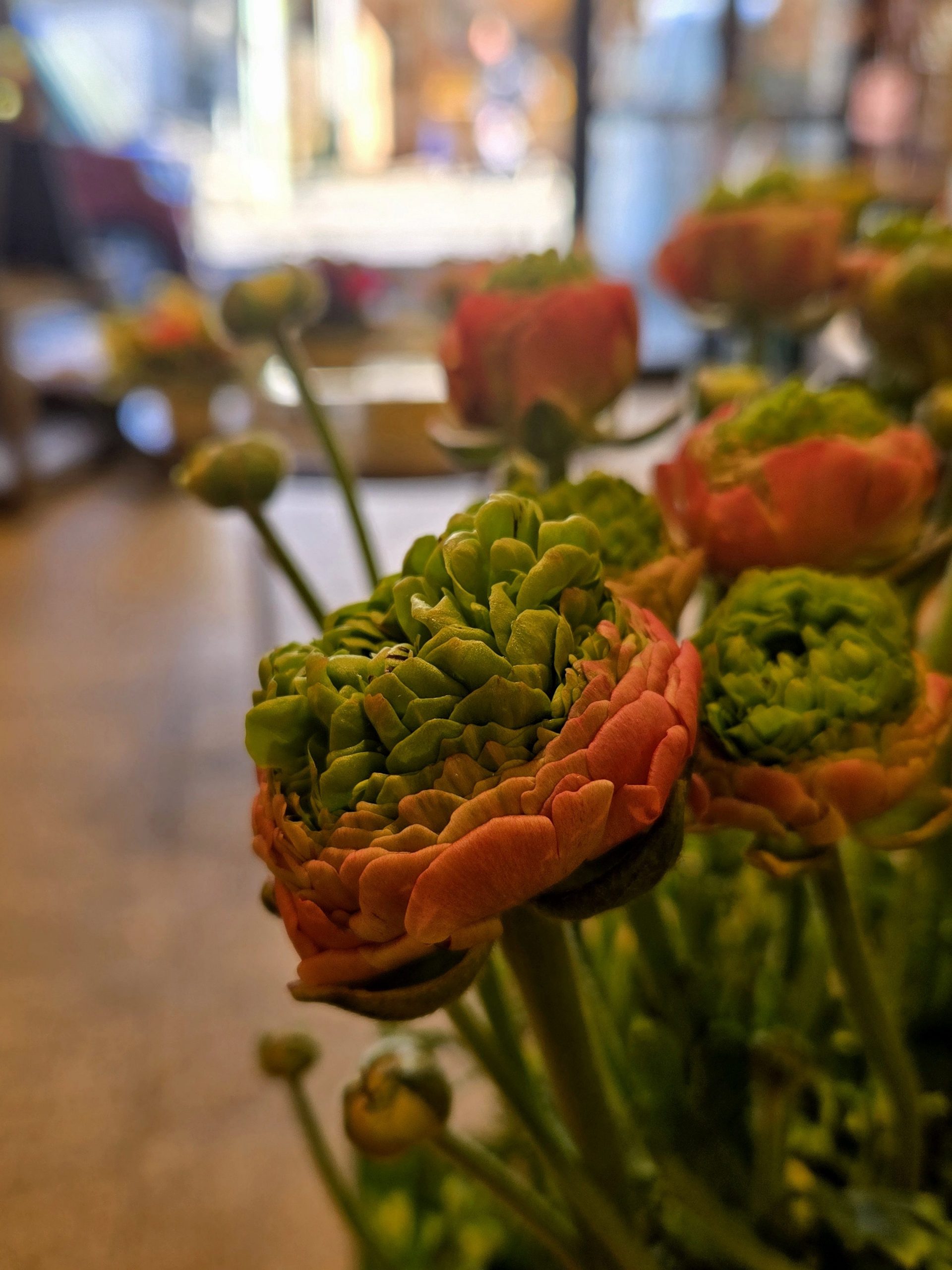 定休日のおしらせ｜「花里」　（神奈川県逗子市の花キューピット加盟店 花屋）のブログ