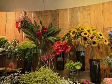 夏｜「花里」　（神奈川県逗子市の花キューピット加盟店 花屋）のブログ