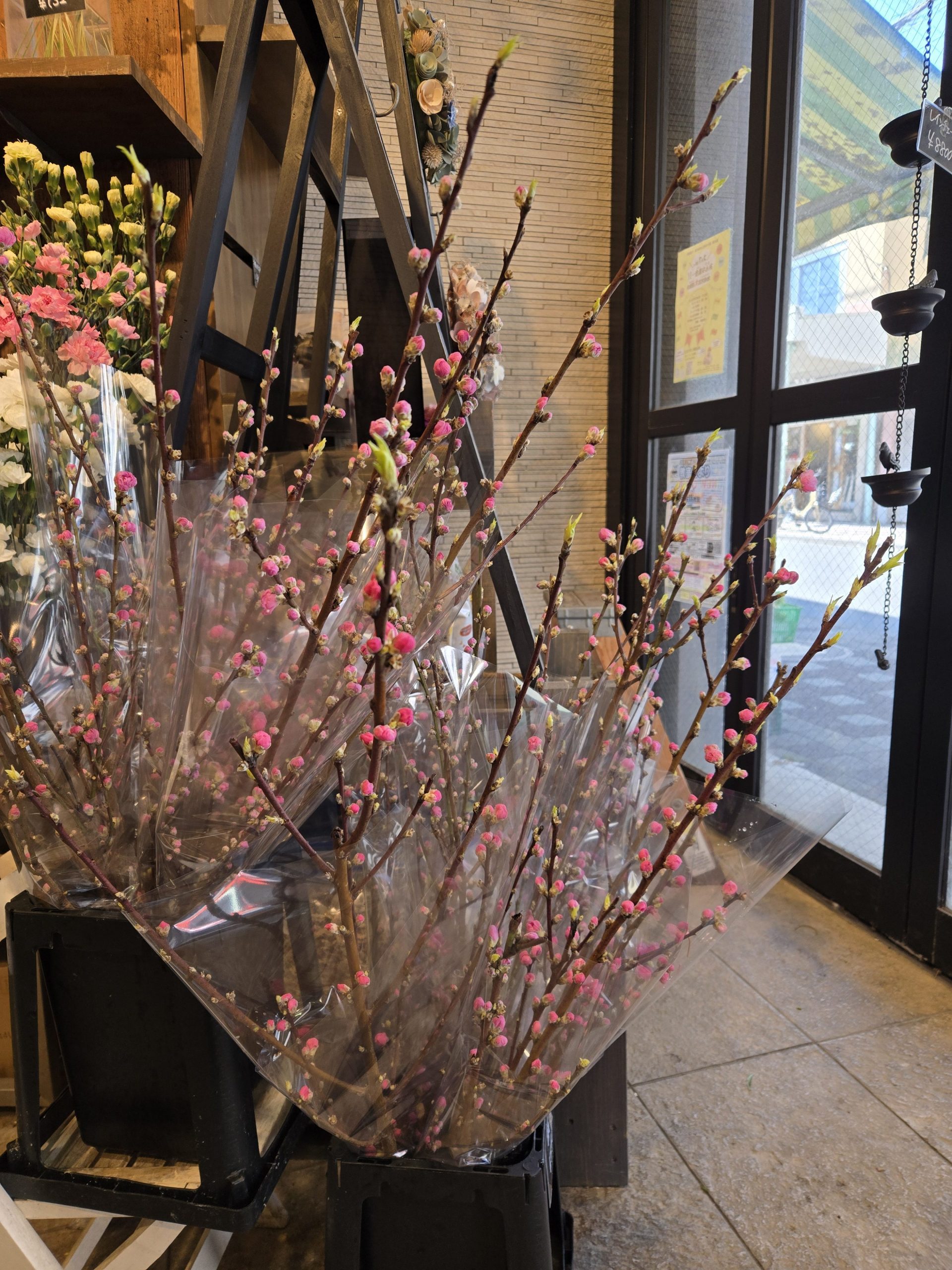 今日は雨水｜「花里」　（神奈川県逗子市の花キューピット加盟店 花屋）のブログ