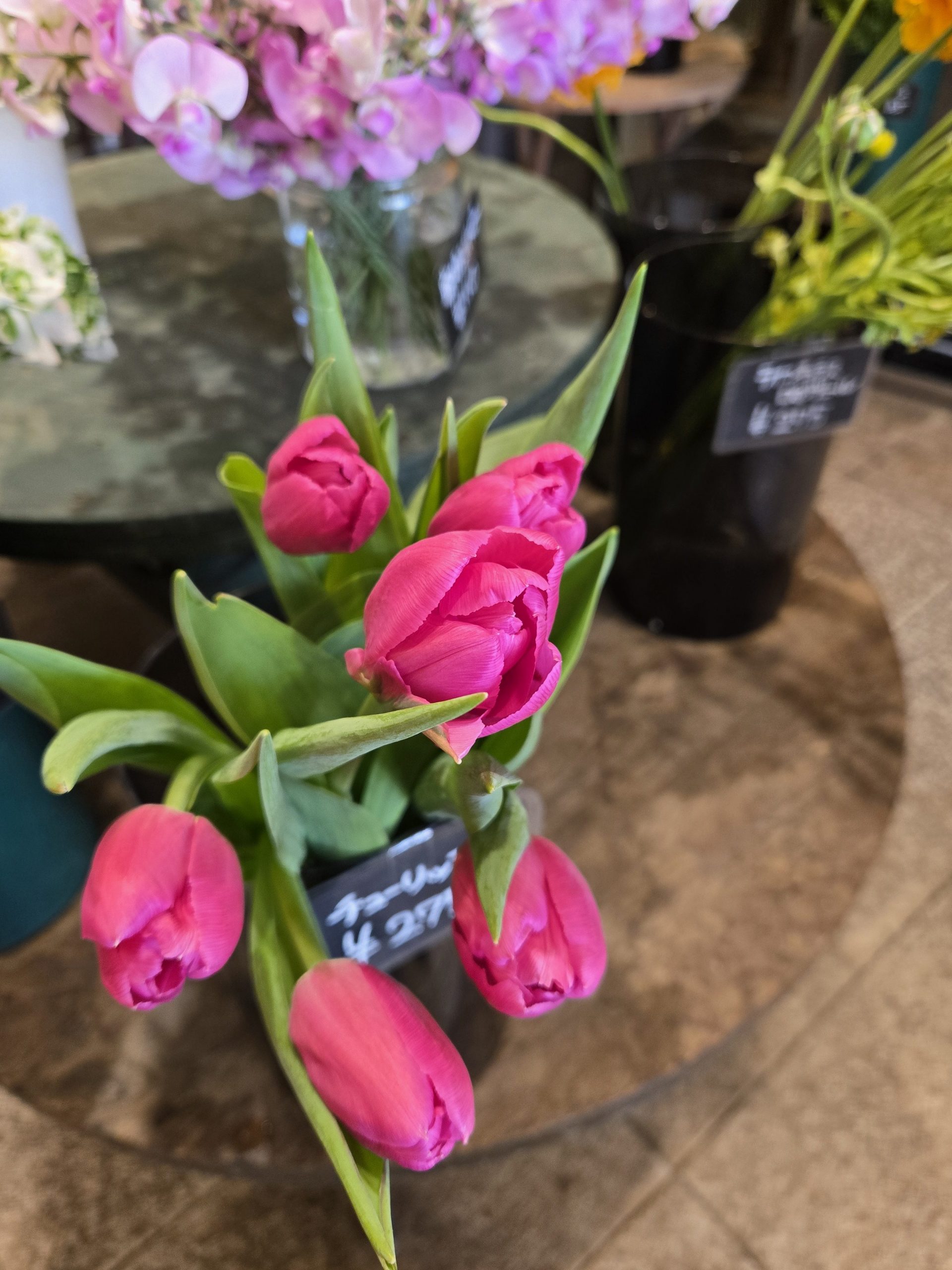 春一番の日｜「花里」　（神奈川県逗子市の花キューピット加盟店 花屋）のブログ