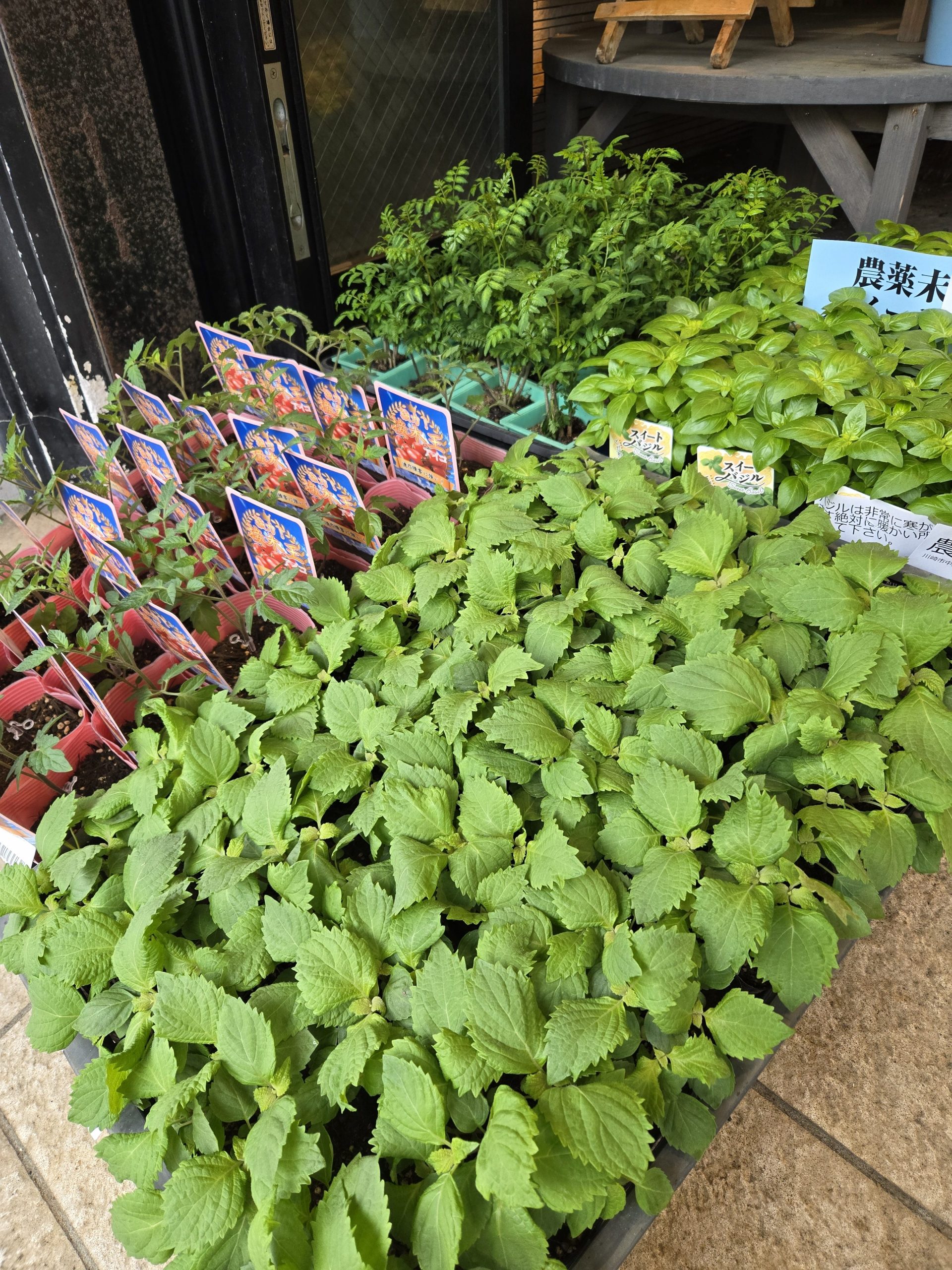 菜園｜「花里」　（神奈川県逗子市の花キューピット加盟店 花屋）のブログ