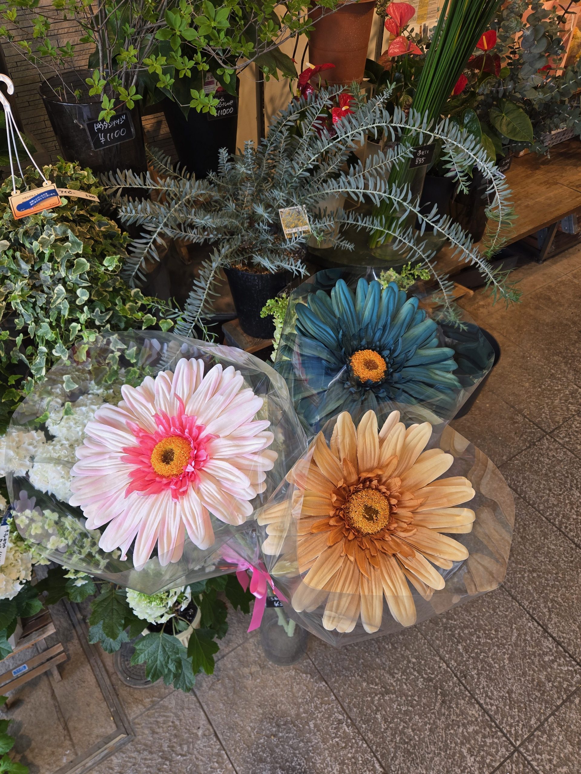 ジャンボ！|「花里」　（神奈川県逗子市の花屋）のブログ