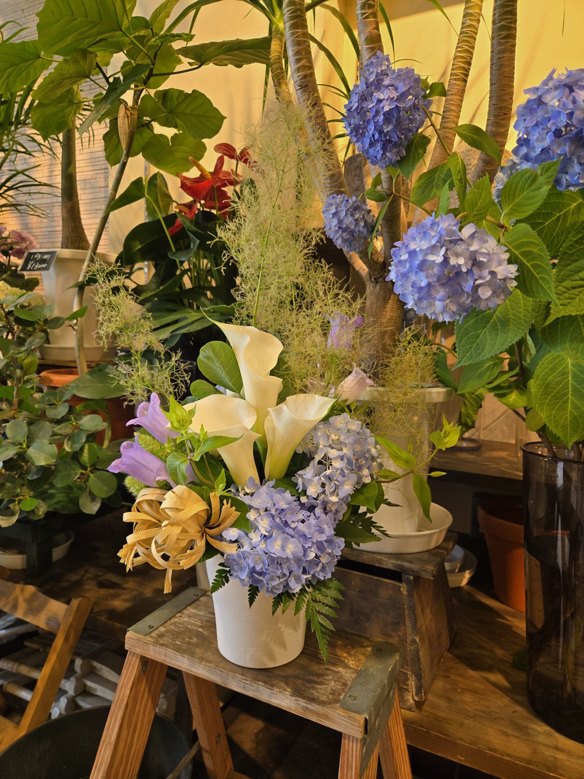 梅雨入り前|「花里」　（神奈川県逗子市の花屋）のブログ